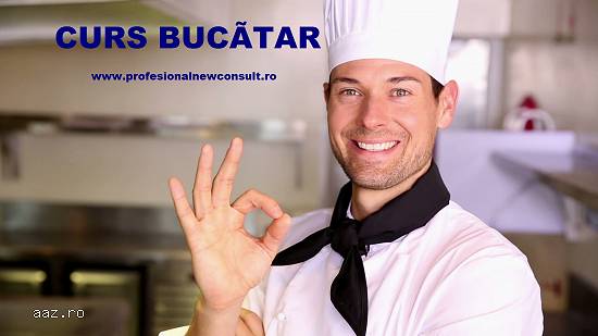 Curs Bucatar