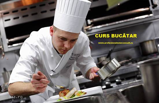 Curs Bucatar