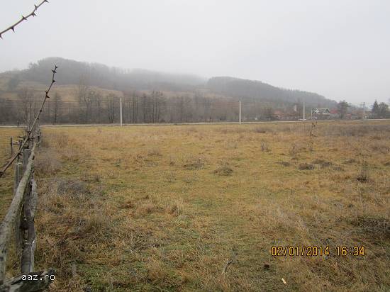 teren intravilan langa padure pentru casa de vacanta negociabil