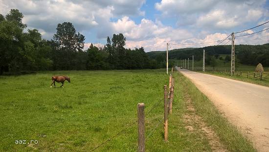 teren intravilan langa padure pentru casa de vacanta negociabil