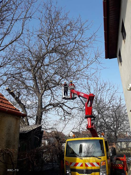 Pregatim tineri in vederea angajarii pe post de alpinisti utilitari