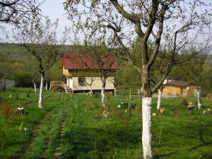 Vand casa vacanta intr-un colt de rai,          langa Sibiu