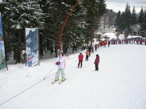 Tabara de ski de Craciun in statiunea Predeal
