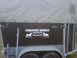 transport marfa , tractari auto, transport animale