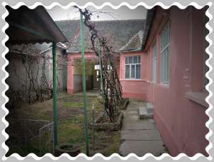 VAND URGENT CASA IN SANTANA JUD. ARAD