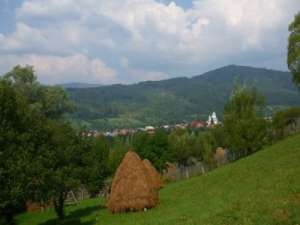 Vand teren pentru casa de vacanta in Valea Doftanei