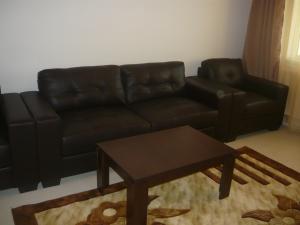 ofer spre inchiriere apartament 2 camere,    deosebit