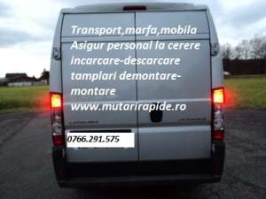 activitate transport